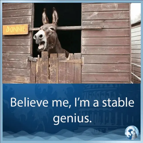 trump-stable-genius-believe-me-500.webp