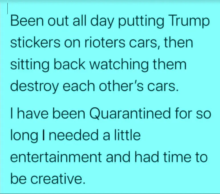 Trump stickers.webp