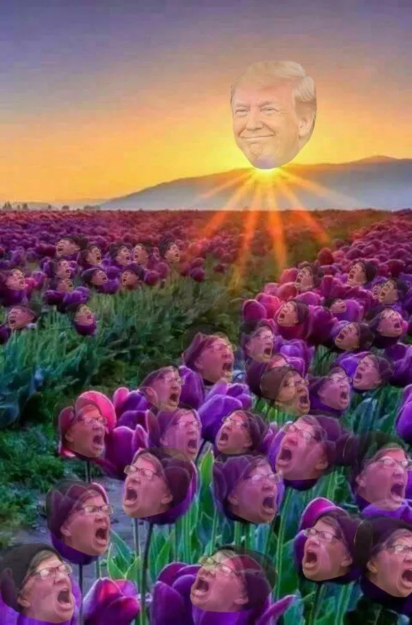 Trump sunshine.webp