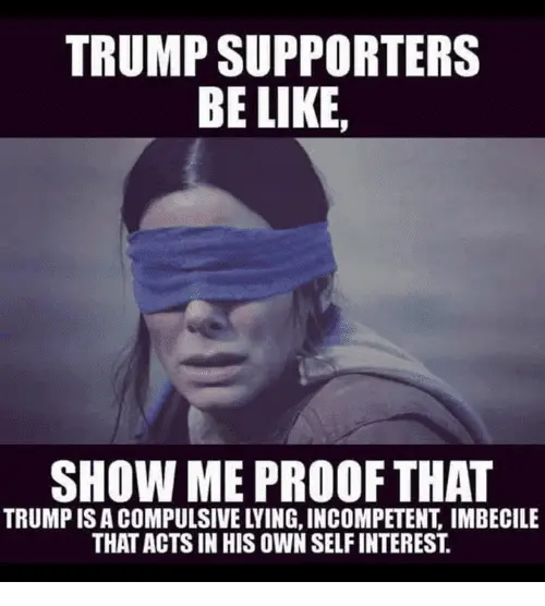 trump-supporters-be-like-show-me-proof-that-trump-is-40452283 (1).webp