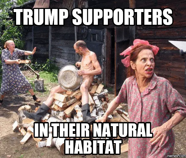 trump supporters.webp