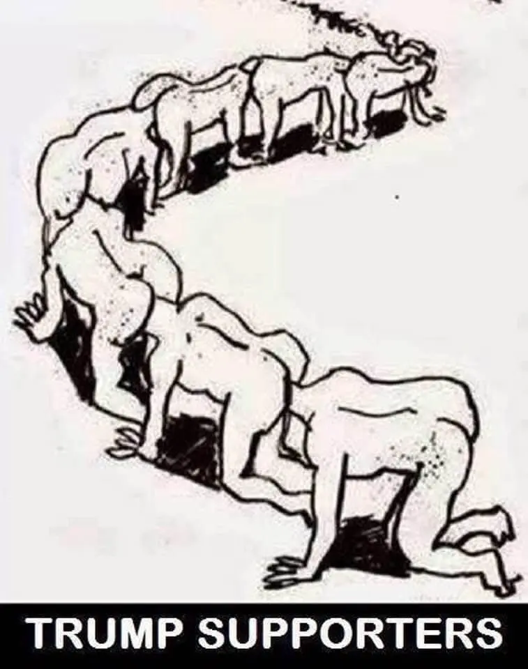trump supporters.webp