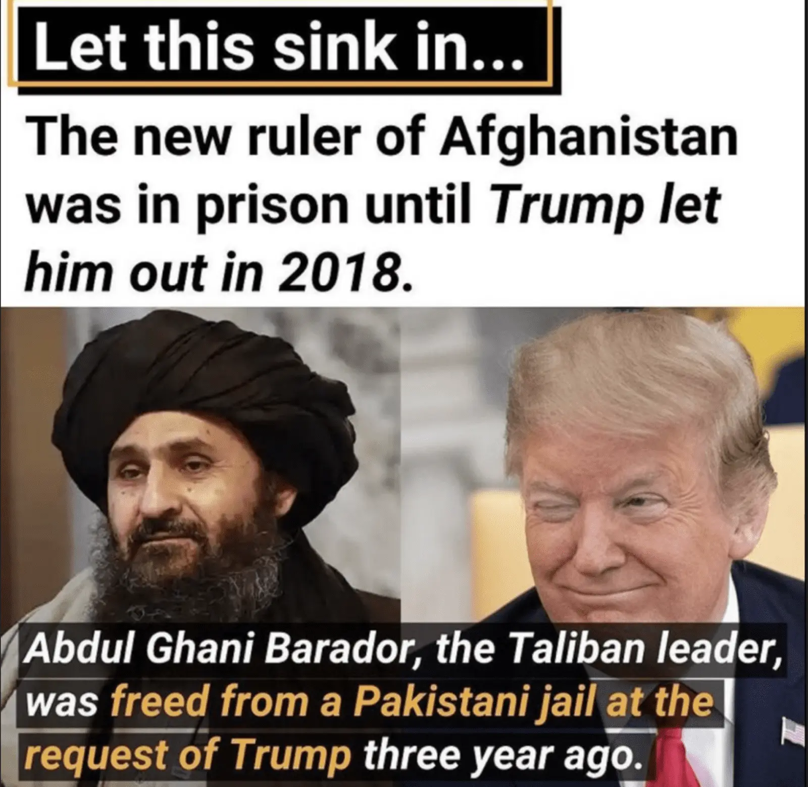Trump Taliban.webp