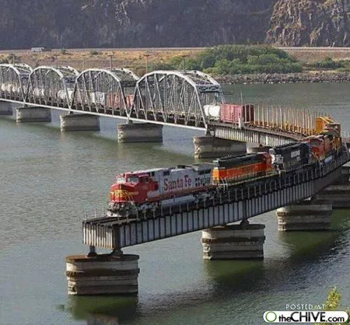 trump train.webp