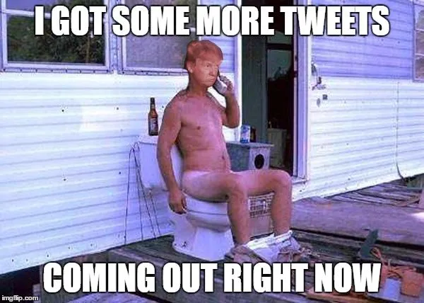 trump-tweets.webp