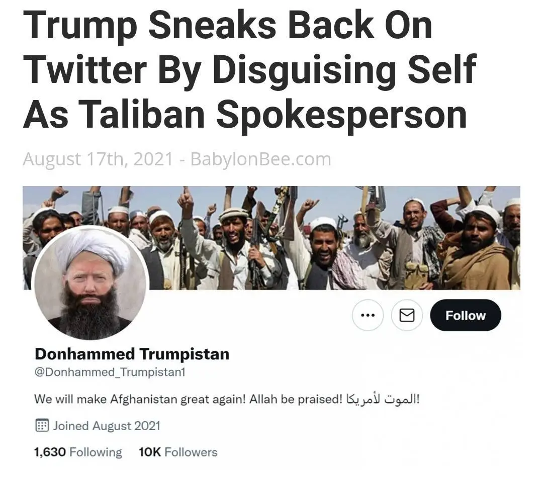 trump twitter taliban.webp