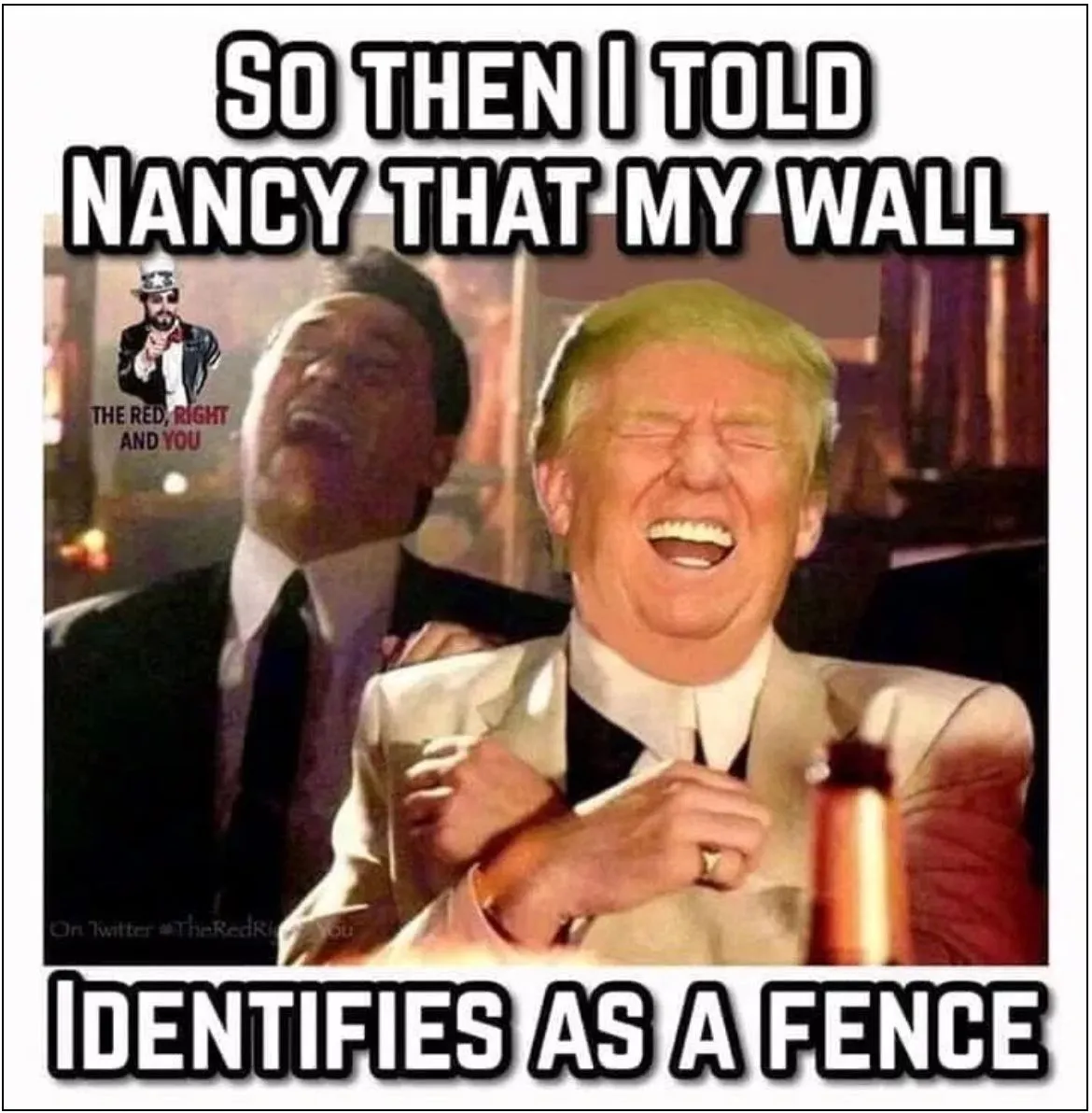 Trump wall identifes as fence.webp