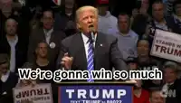 trump-winning.webp