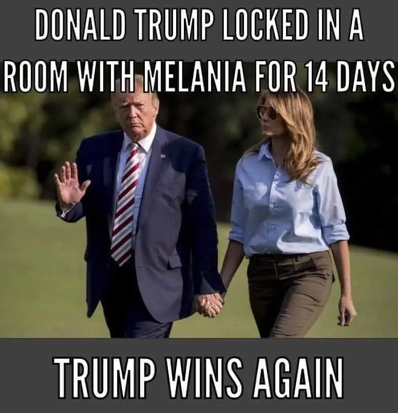 trump wins again.webp