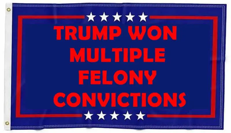 trump won MULLTIPLE FELONY convictions.webp
