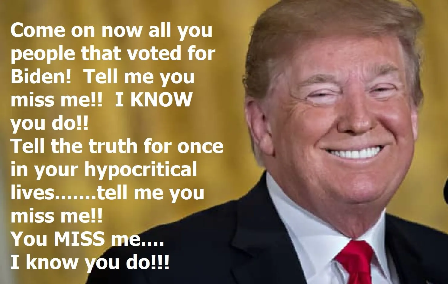 Trump - you miss me.webp