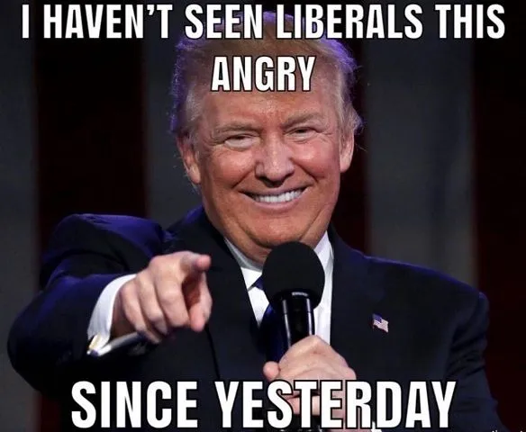 Trump1.webp
