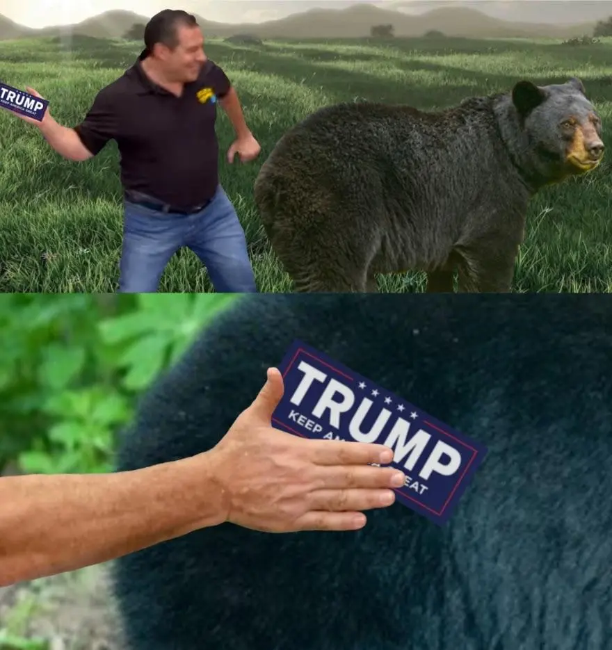 trump2020bearvote.webp