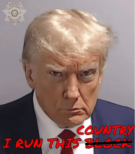 Trump_mugshot - I_run_this_country.webp