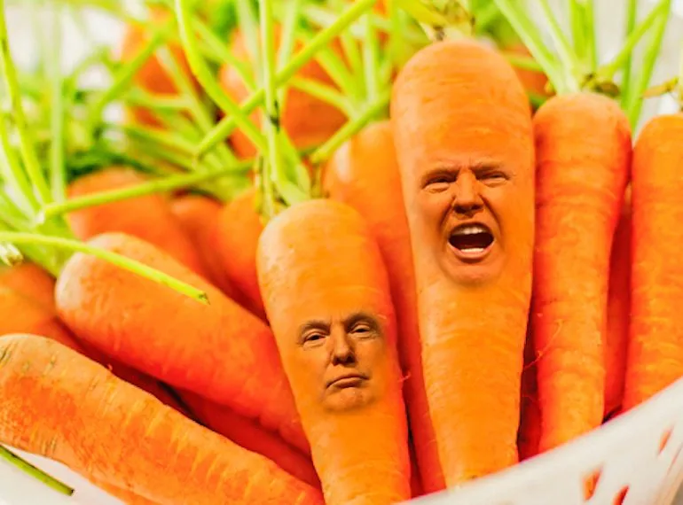 trumpcarrot.webp