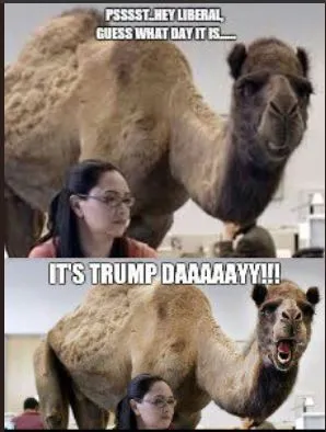 Trumpday1.webp