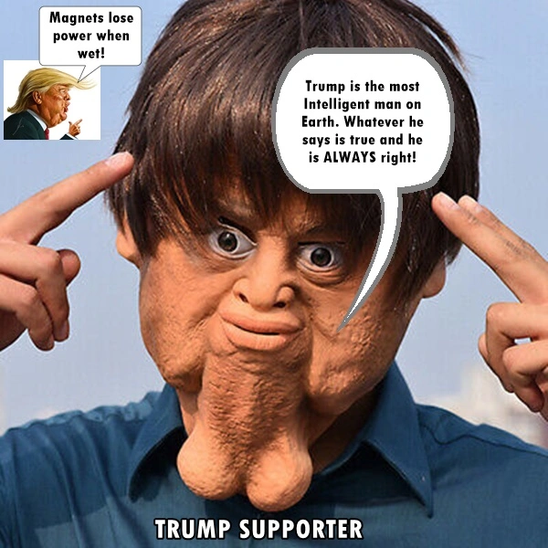 Trumpidiotsupporter.webp