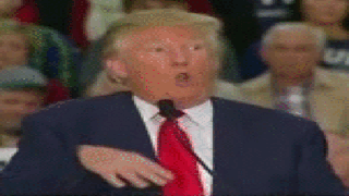 TrumpSpaz.gif