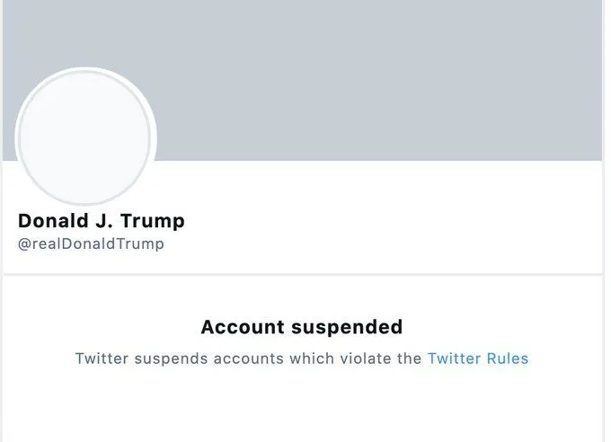 trumpsuspended.webp