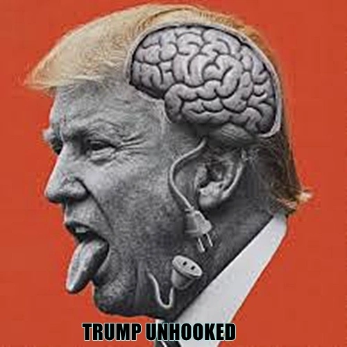 Trumpunhooked.webp