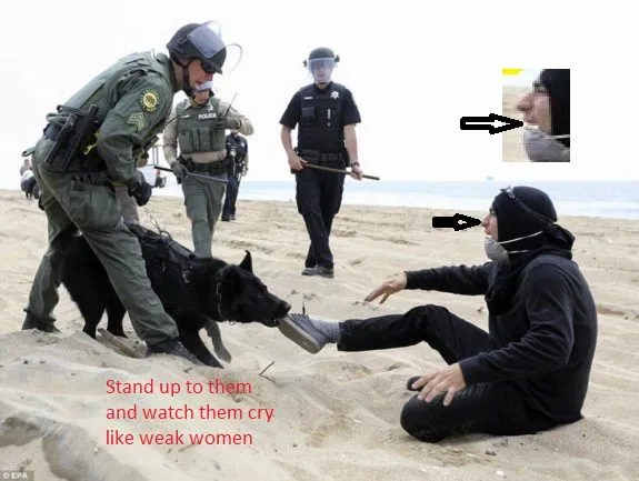 try that pepper  spray again girly man.webp