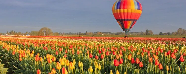 tulip-fest-gallery1-750x300.webp