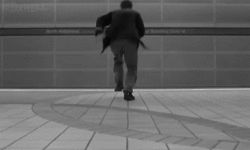 tumblr_n115pwGiQp1tnx4eko1_250.gif