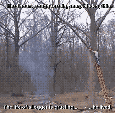 tumblr_nk1q61aShd1qz5q5lo1_400.gif