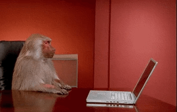 tumblr_o28gkbTvEV1r42rk1o1_400.gif