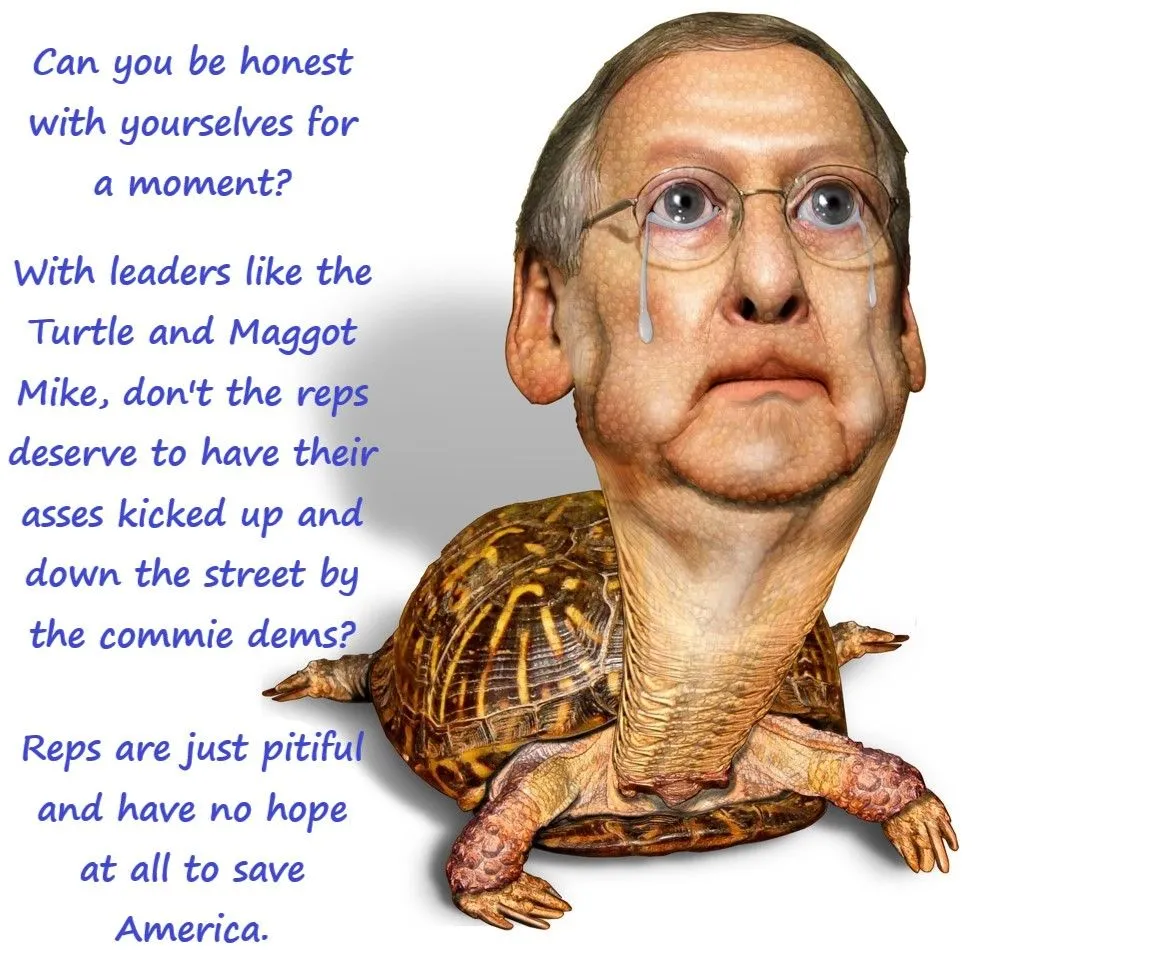 turtle be honest.webp