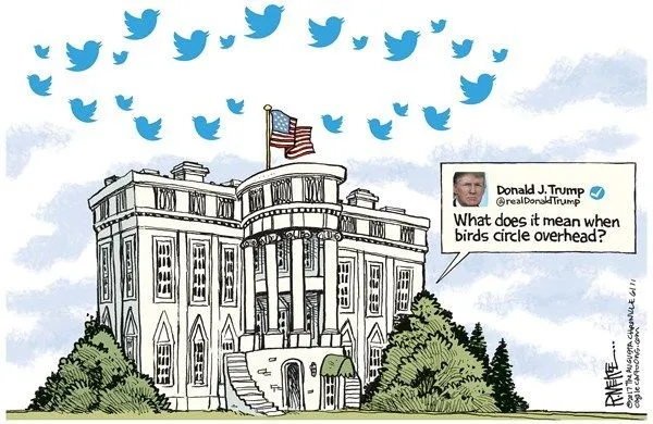 tweet white house.webp
