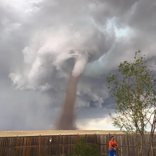 twister.webp