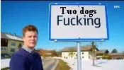 two dogs fucking.jpg