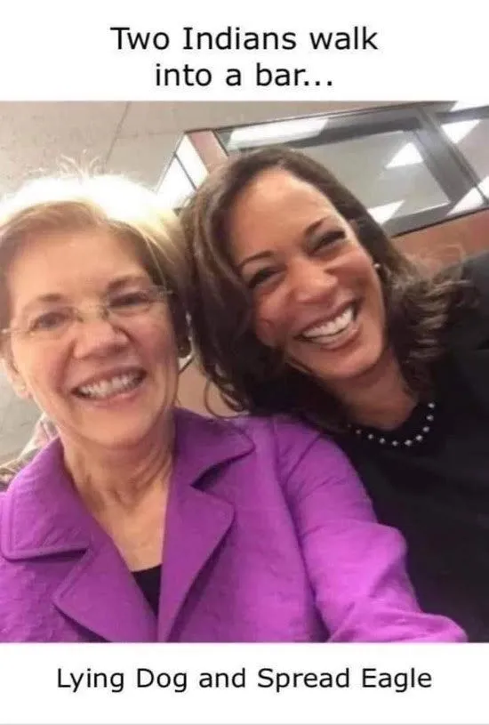 Two indians walk into a bar.webp