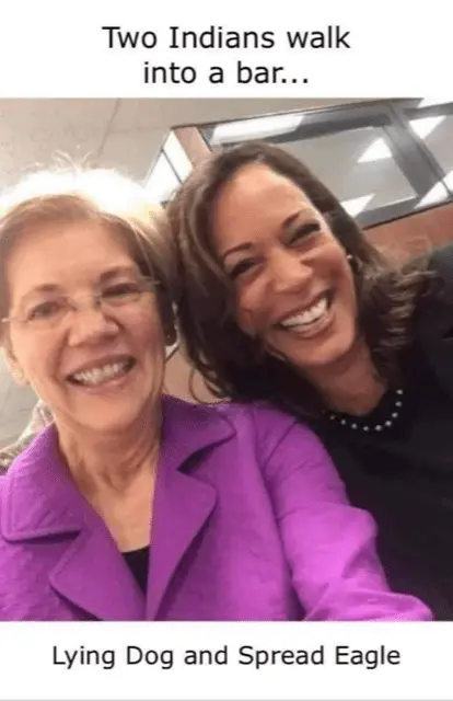 Two Indians walk into a bar.webp