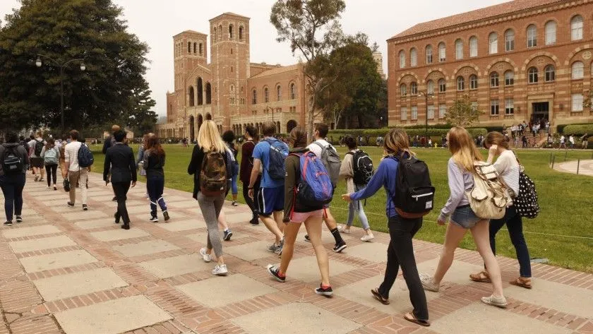 ucla11.webp