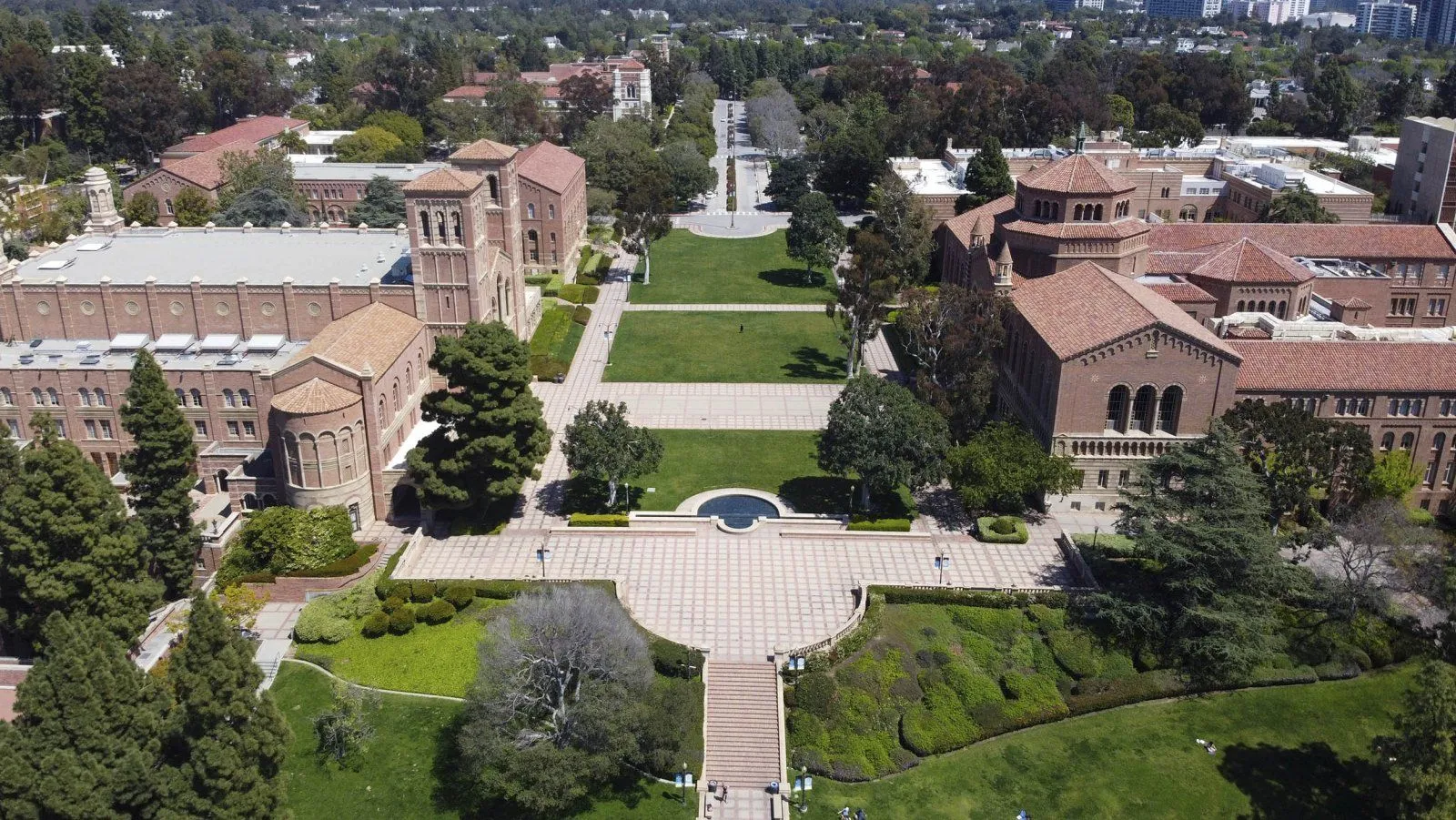 ucla2.webp
