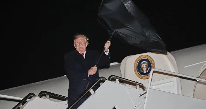 umbrella.webp
