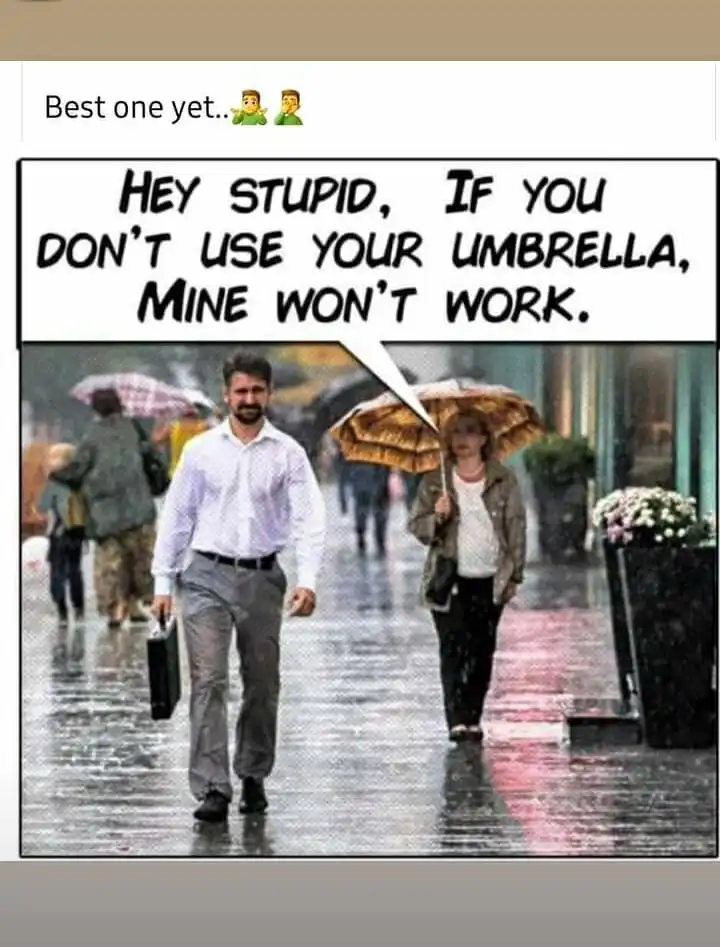Umbrella.webp