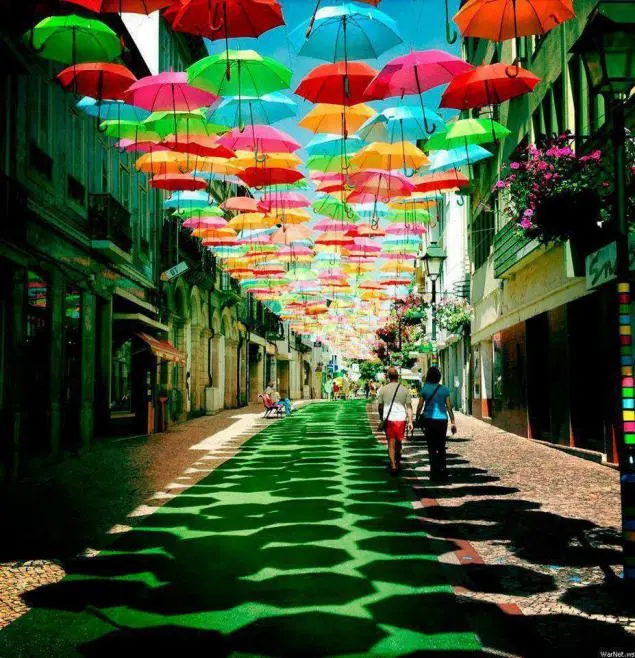 umbrellas.webp