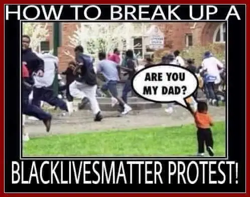 Umydad.webp