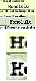 Untitled.webp