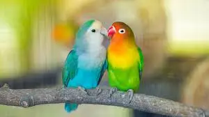 untitled.webp