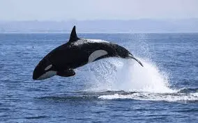 untitled.webp