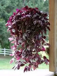 upload_2015-11-30_8-54-19.webp