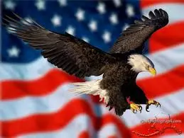 upload_2016-1-15_13-20-22.webp