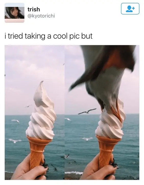 upload_2016-10-3_22-25-11.webp
