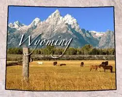 upload_2016-6-8_3-40-11.webp