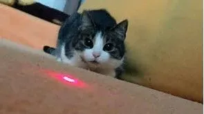 upload_2017-10-15_14-2-28.webp