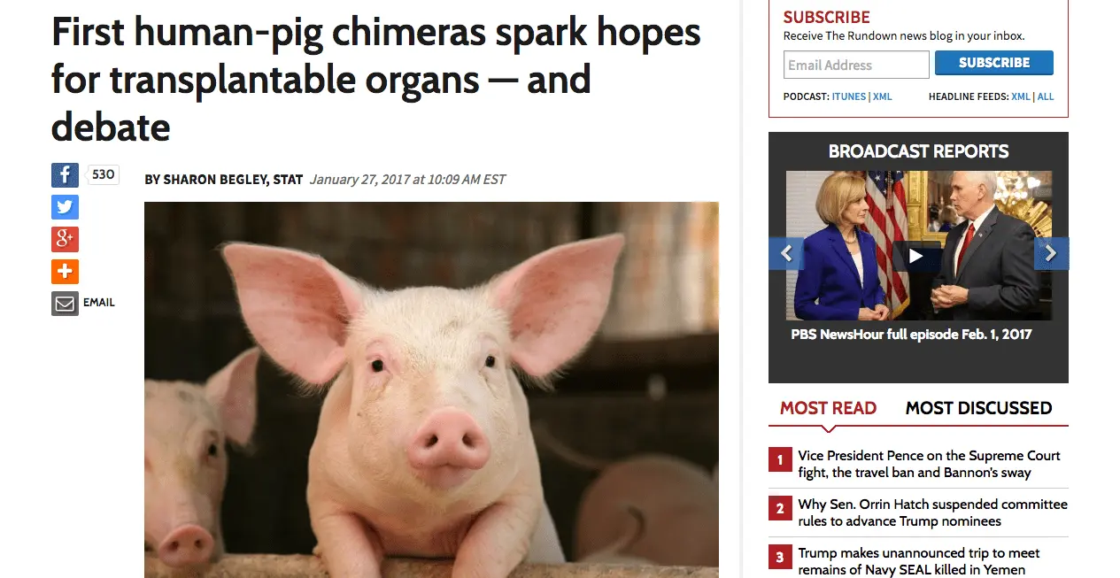 upload_2017-2-1_20-12-32.webp